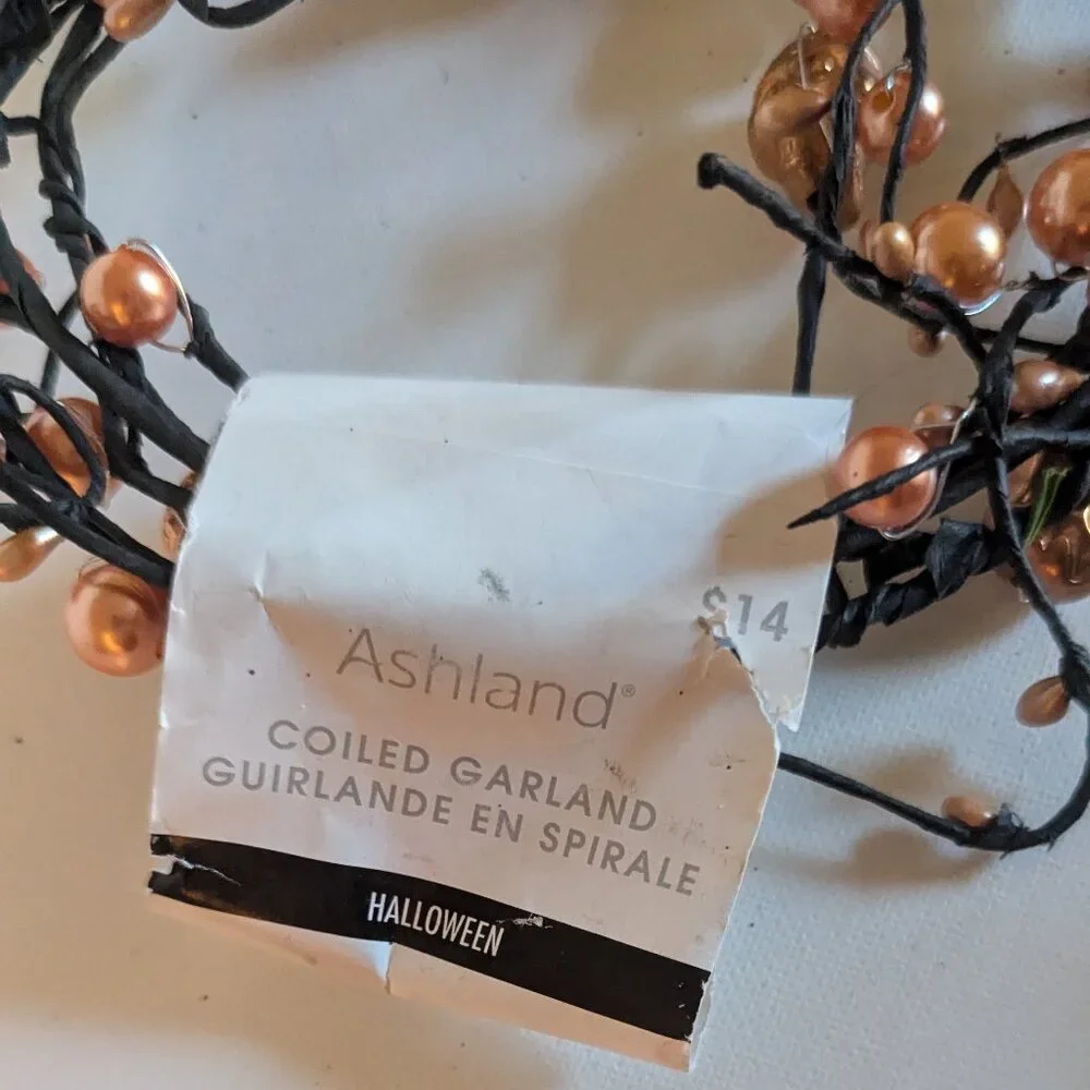 Ashland spooky nwt